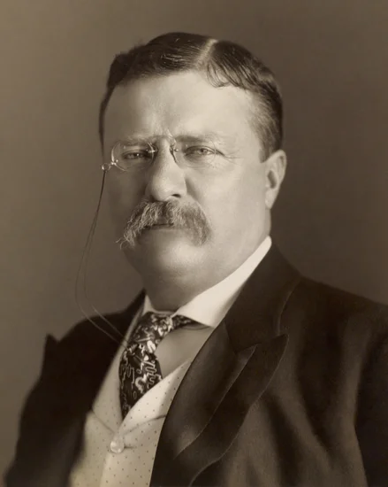 1901 – Executive Mansion Officially Renamed White House