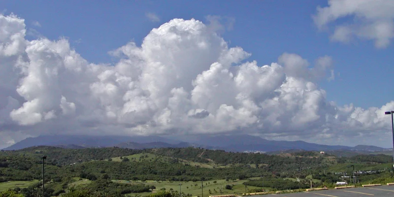 1903 – El Yunque Becomes National Forest