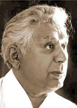 1904 – Bozorg Alavi, Iranian Author