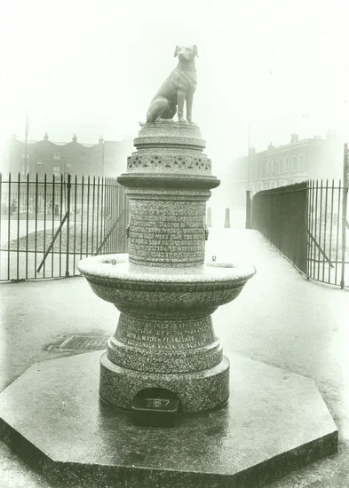 1907 – Brown Dog Riots Peak in London