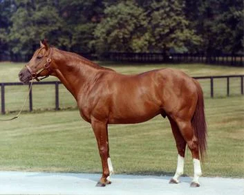1973 – Secretariat Wins Kentucky Derby