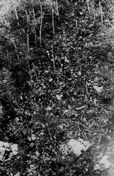 1974 – Turkish Airlines Flight 981 Disaster