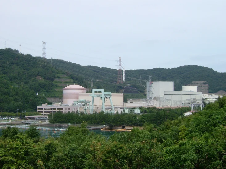 1982 – Nuclear Power Plant Incident