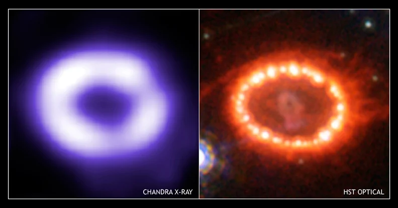 1987 – Supernova 1987A Observed