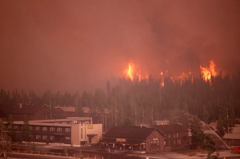 1988 – Black Saturday Yellowstone Fires