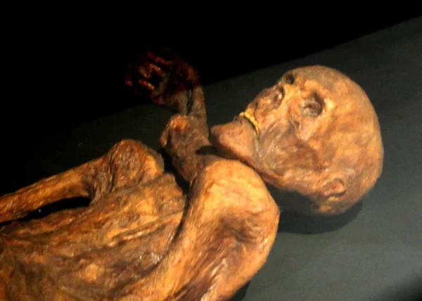 1991 – Ötzi the Iceman Discovered