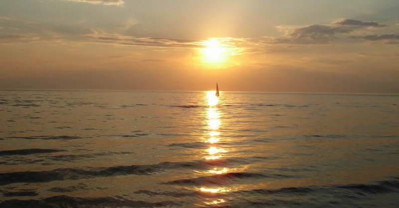1992 – First World Oceans Day Celebrated
