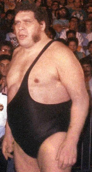 1993 – André the Giant, Professional Wrestling Legend