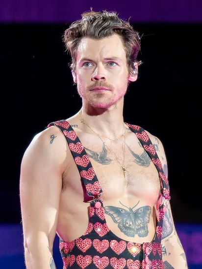1994 – Harry Styles, Pop Phenomenon