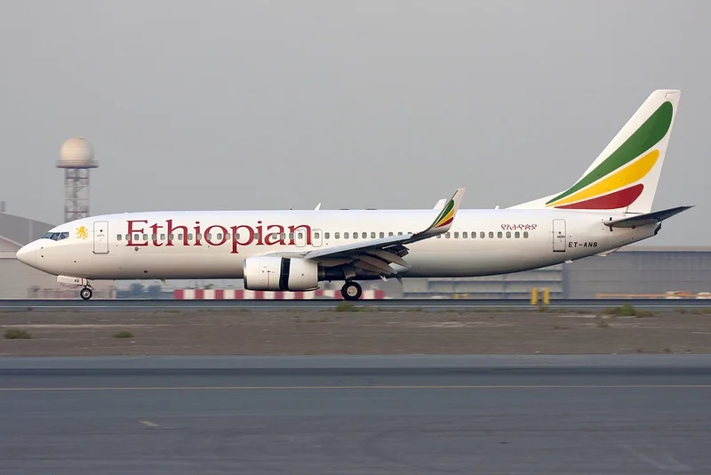 2006 – Ethiopian Airlines Flight 409 Crashes