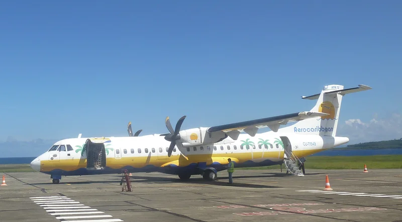 2010 – Caribbean Aviation Tragedy