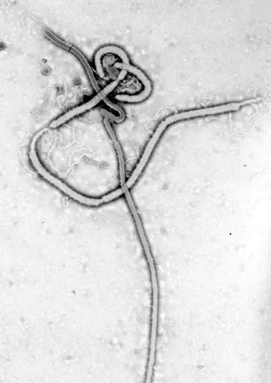 2016 – Ebola Vaccine Proves Effective in Clinical Trial