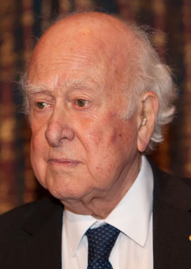 2024 – Peter Higgs Dies