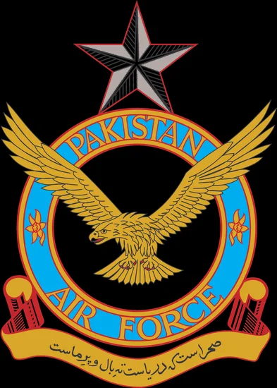2031 – Pakistan Downs Indian Aircraft