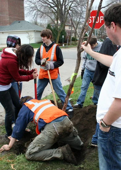 National Tree Planting Day (Kenya)