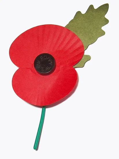 Remembrance Day (Commonwealth Nations)